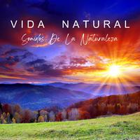 Vida Natural - Sonidos De La Naturaleza