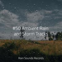 #50 Ambient Rain and Storm Tracks