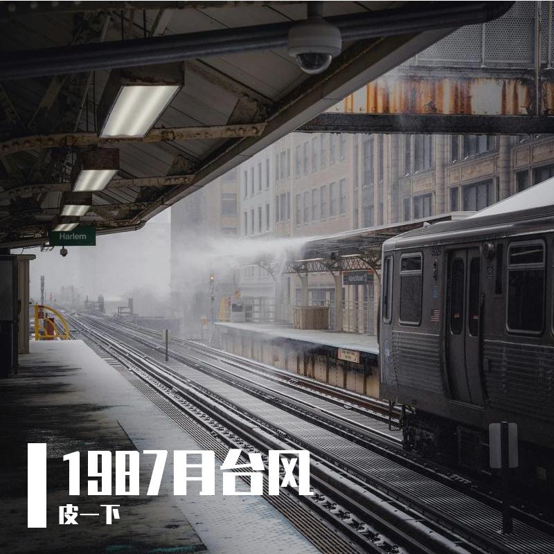 与万有引力共舞封面