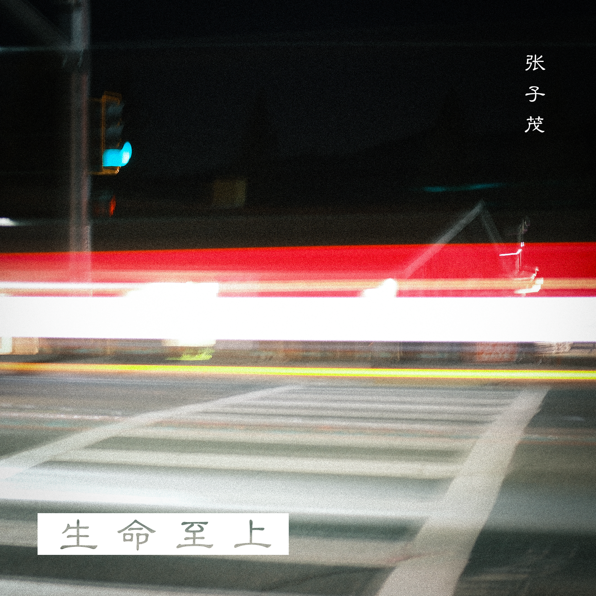都市丛林 - 张子茂封面
