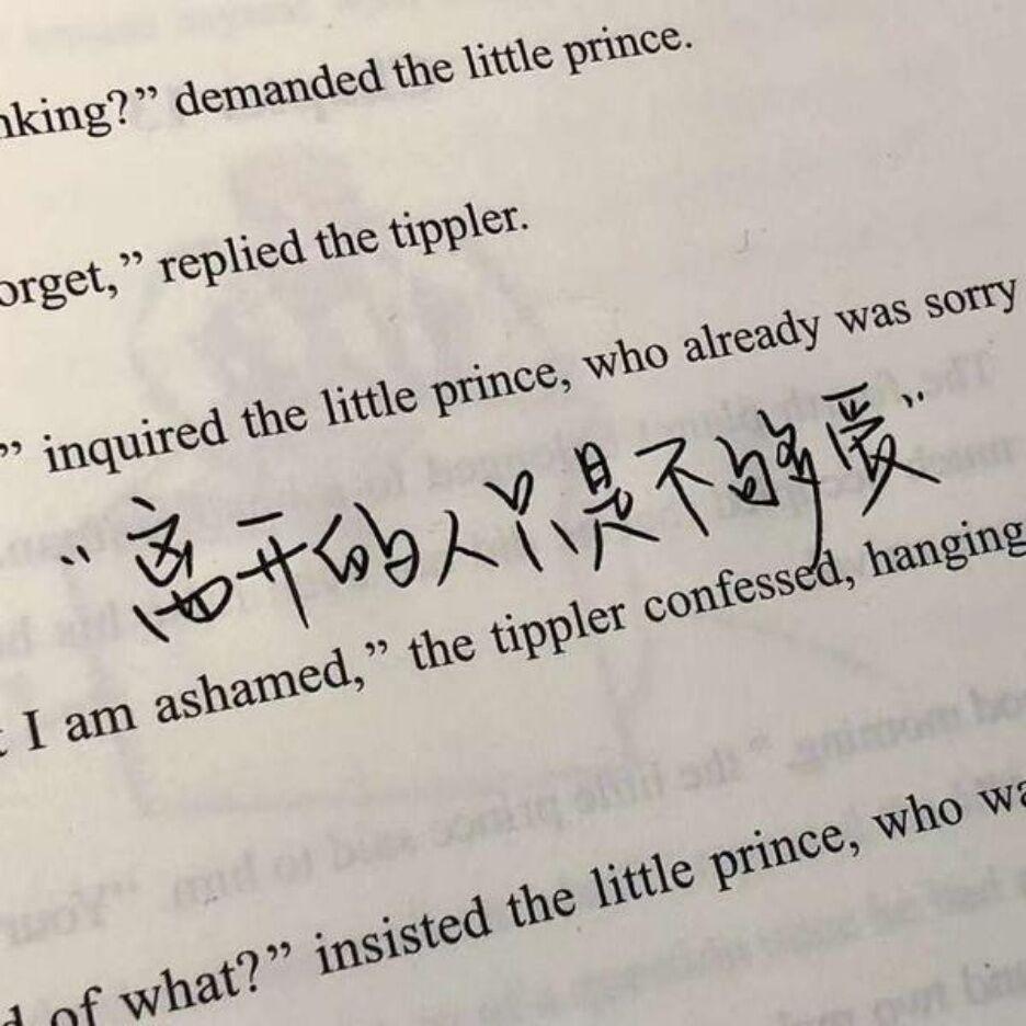 那个傻瓜封面