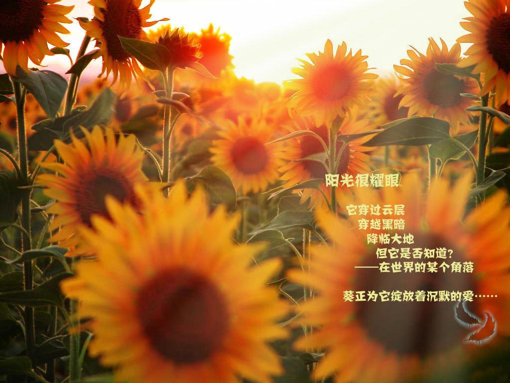 去年夏天你来过（原创曲目三）