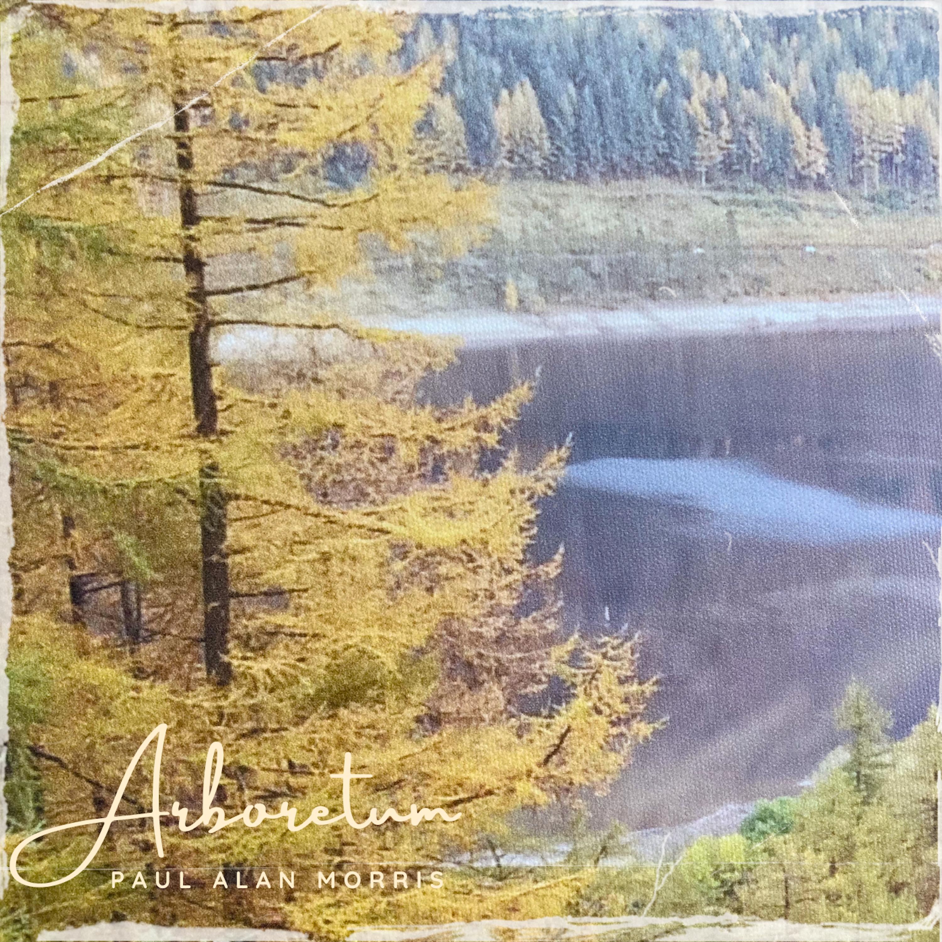 Arboretum_Paul Alan Morris_Arboretum | 在线播放_Arboretum歌词_Arboretum下载 | 网易云音乐