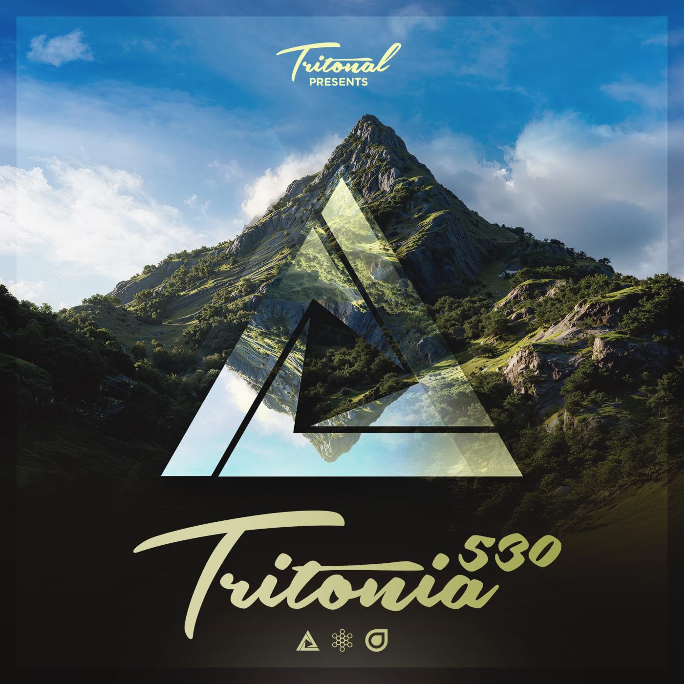 In The Night (Tritonia 530)
