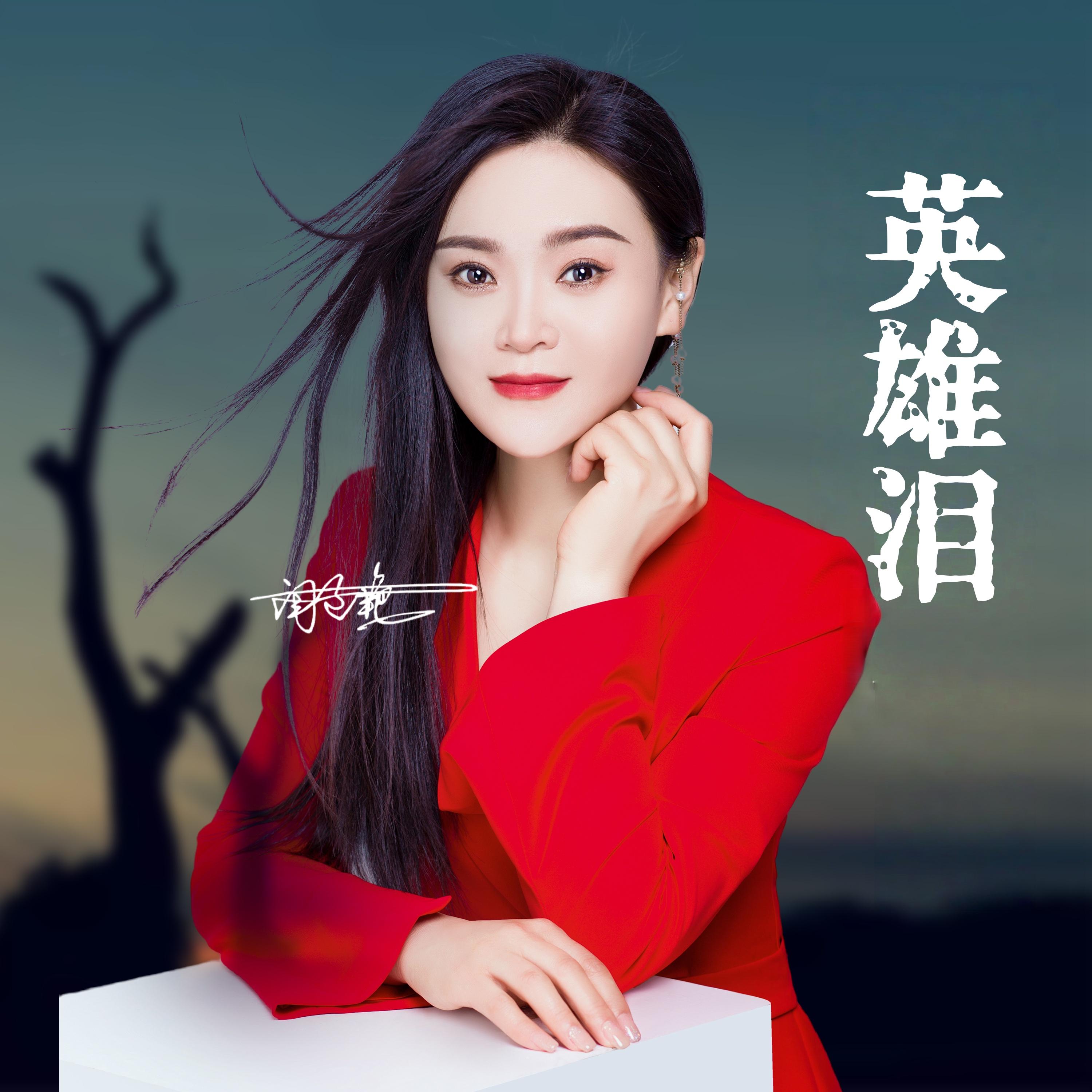 英雄泪 (DJ版)封面
