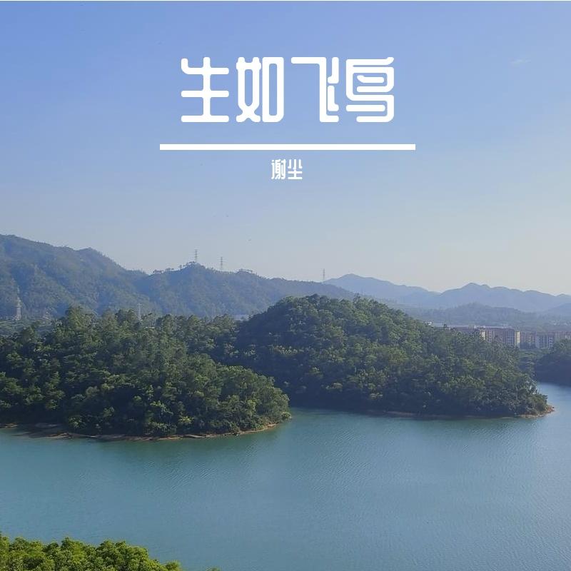 致陌生的你丨cover.河图封面