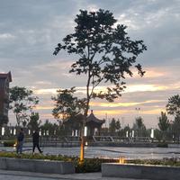 高耳机资料,高耳机最新歌曲,高耳机MV视频,高耳机音乐专辑,高耳机好听的歌
