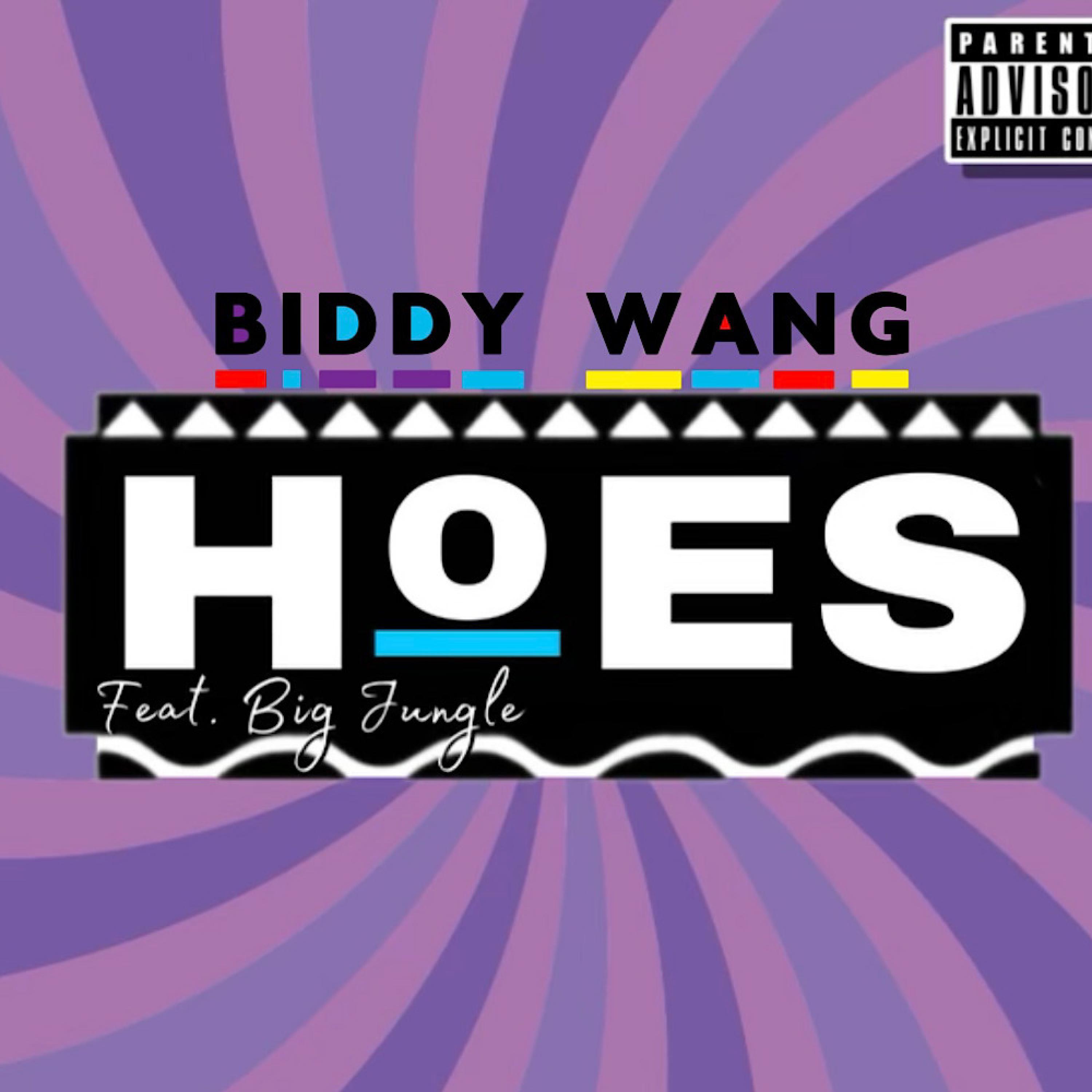 hoes (feat. big jungle)