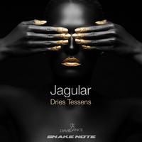 Jagular - Single