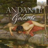 Andante Galante