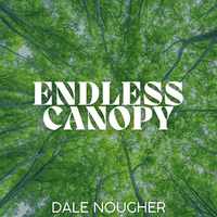 Endless Canopy