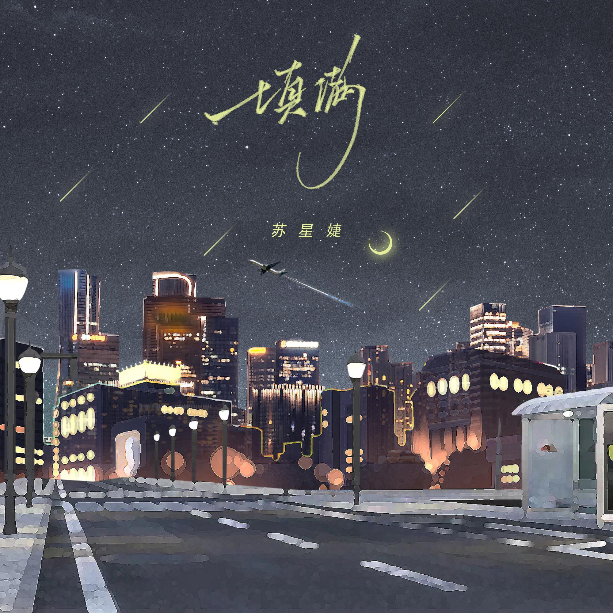 填满 (DJ版)封面