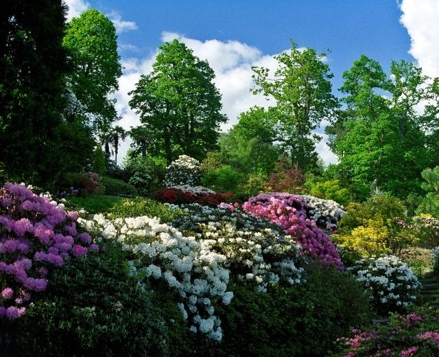 Natural Garden