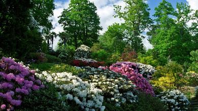 Natural Garden