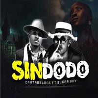 Sindodo