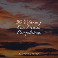 50 Relaxing Spa Music Compilation