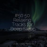 #50 50 Relaxing Tracks for Deep Sleep For Dogs