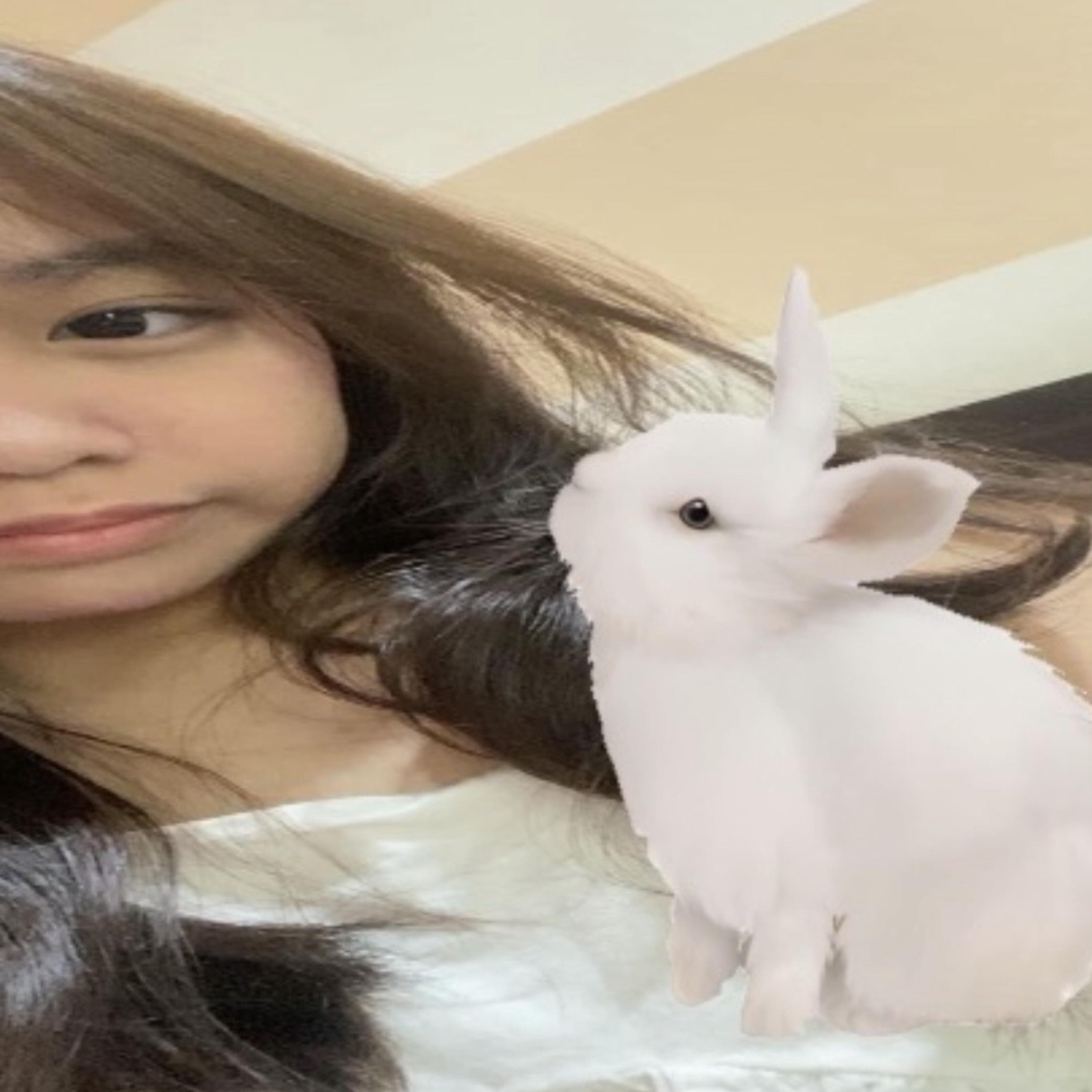 There’s Bunnies In My Closet And They Won’t Leave