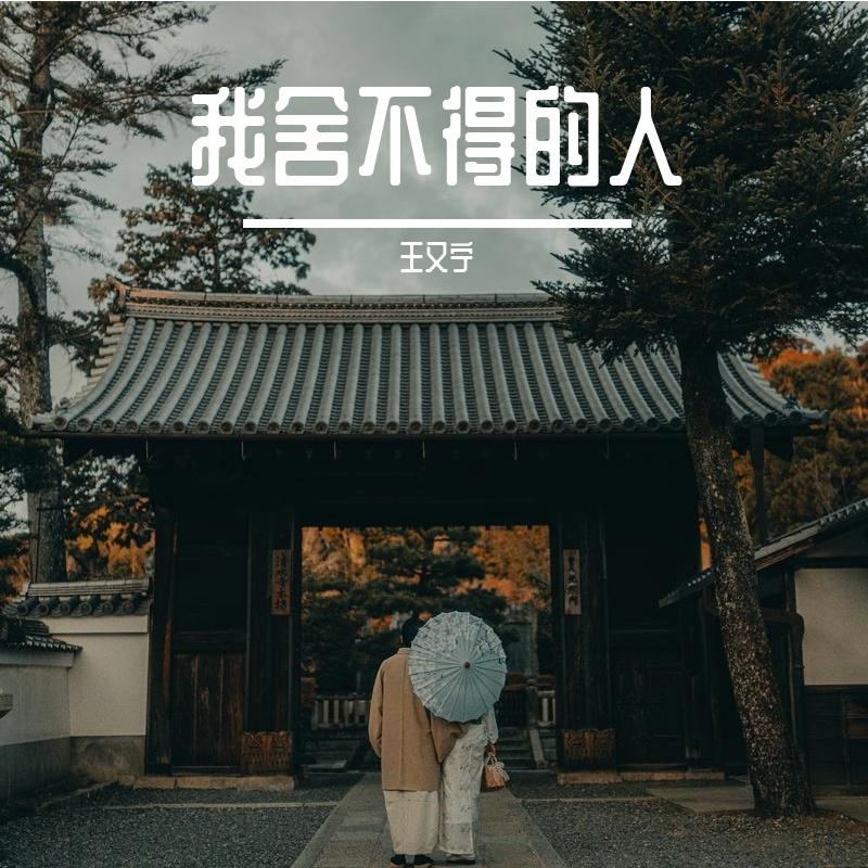 我舍不得的人 - 王又宁封面