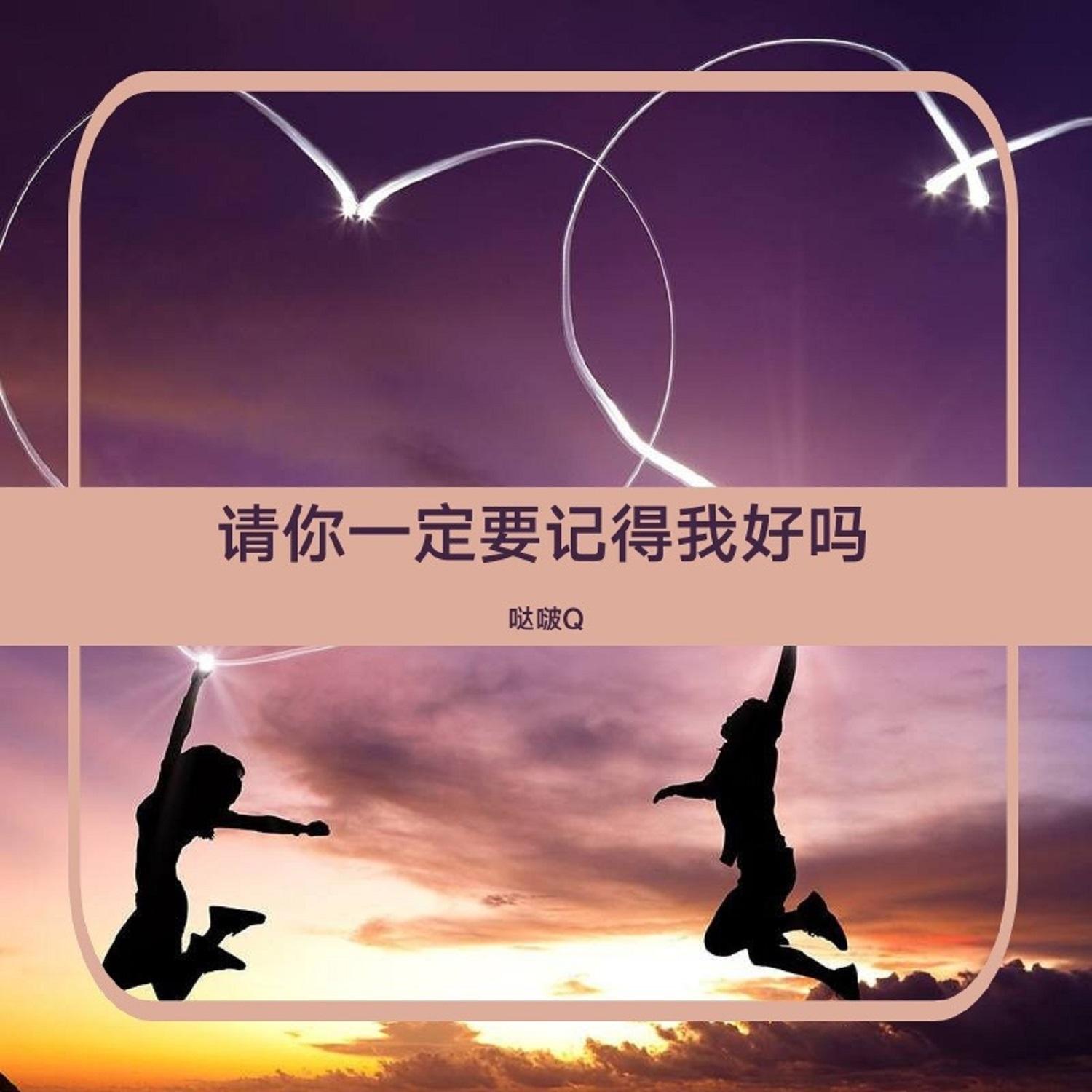 请你一定要记得我好吗封面
