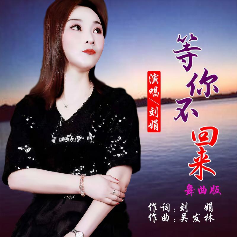 等你不回来 (舞曲版)封面