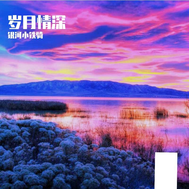 心归零_01封面