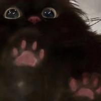 猫吻资料,猫吻最新歌曲,猫吻MV视频,猫吻音乐专辑,猫吻好听的歌