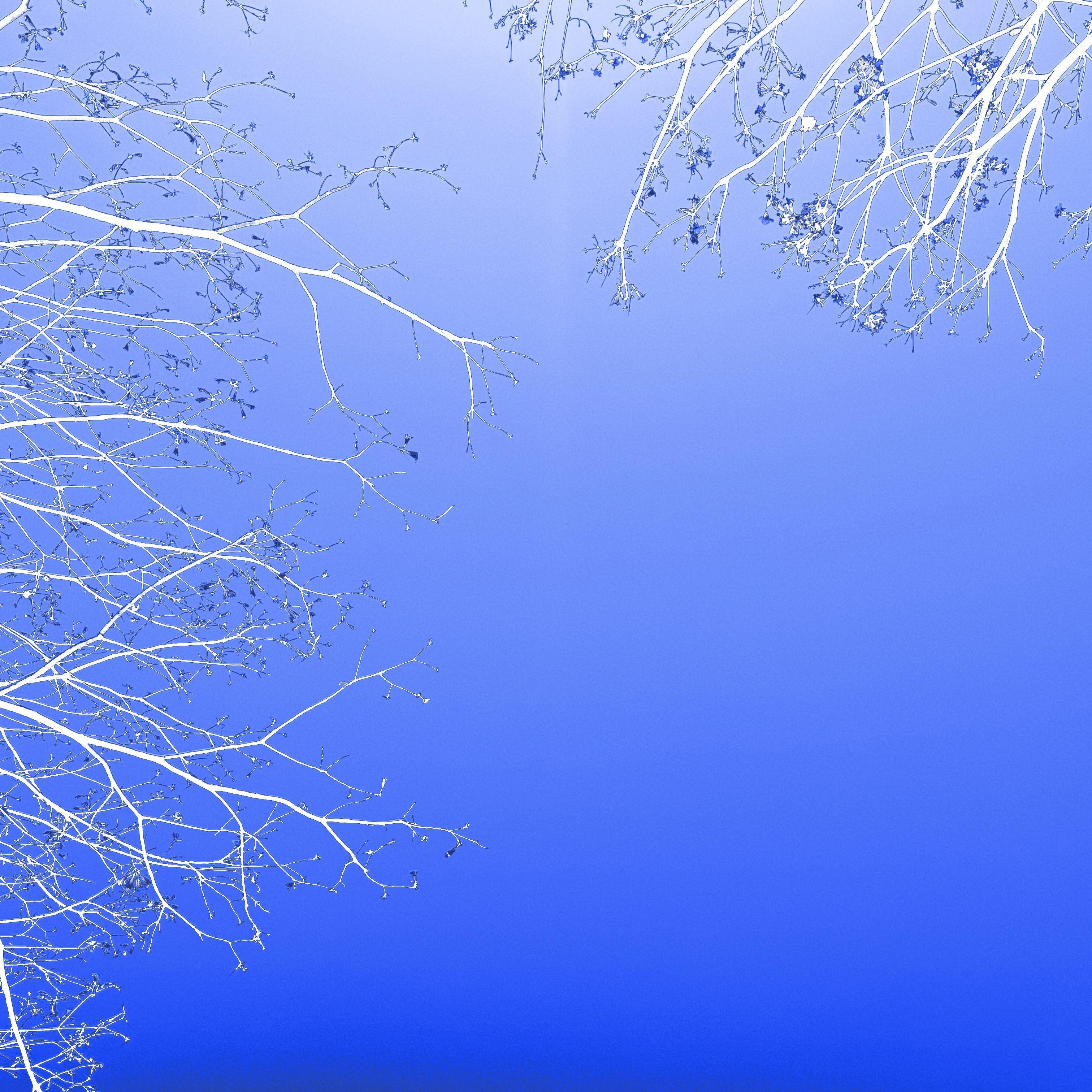 tell me what's on your mind