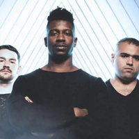 Animals as Leaders