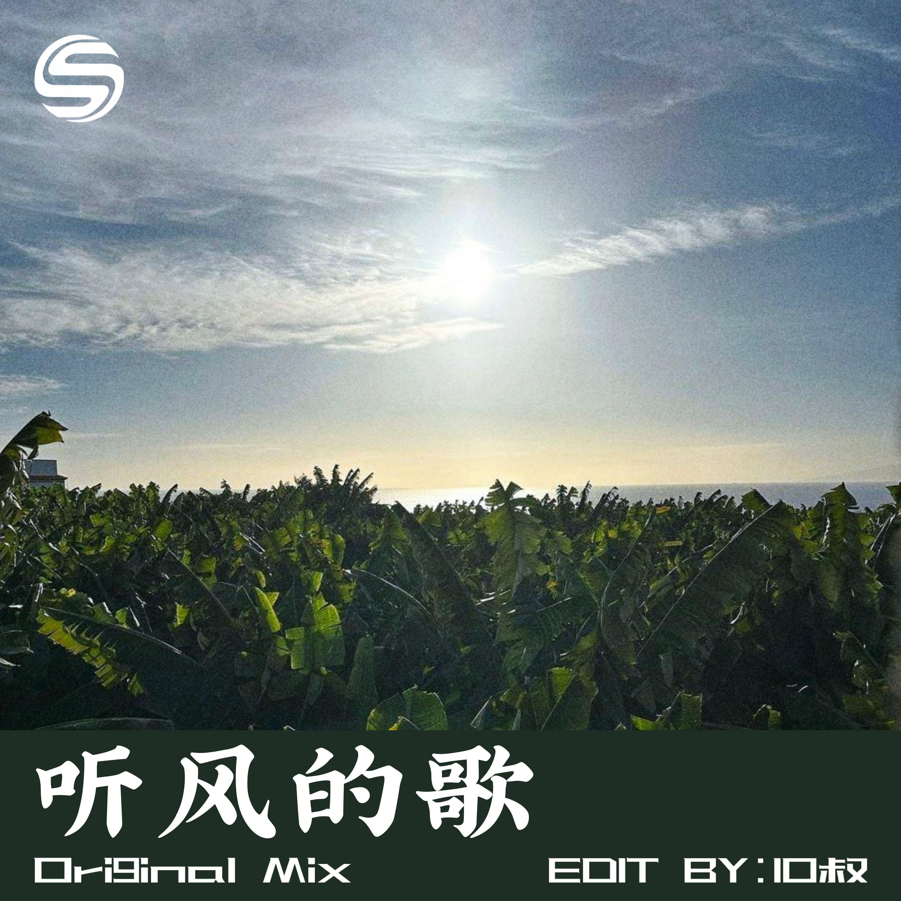 听风的歌（DJ10叔版）封面
