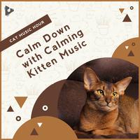 Calm Down with Calming Kitten Music