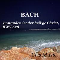 Bach: Das Orgel-Büchlein, BWV 599-644: Easter: 30. Erstanden ist der heil’ge Christ, BWV 628