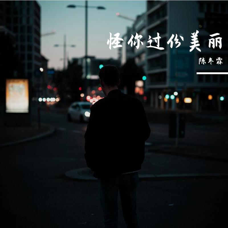 怪你过份美丽封面