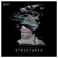 Voltaire Music Pres. Structured, Vol. 9