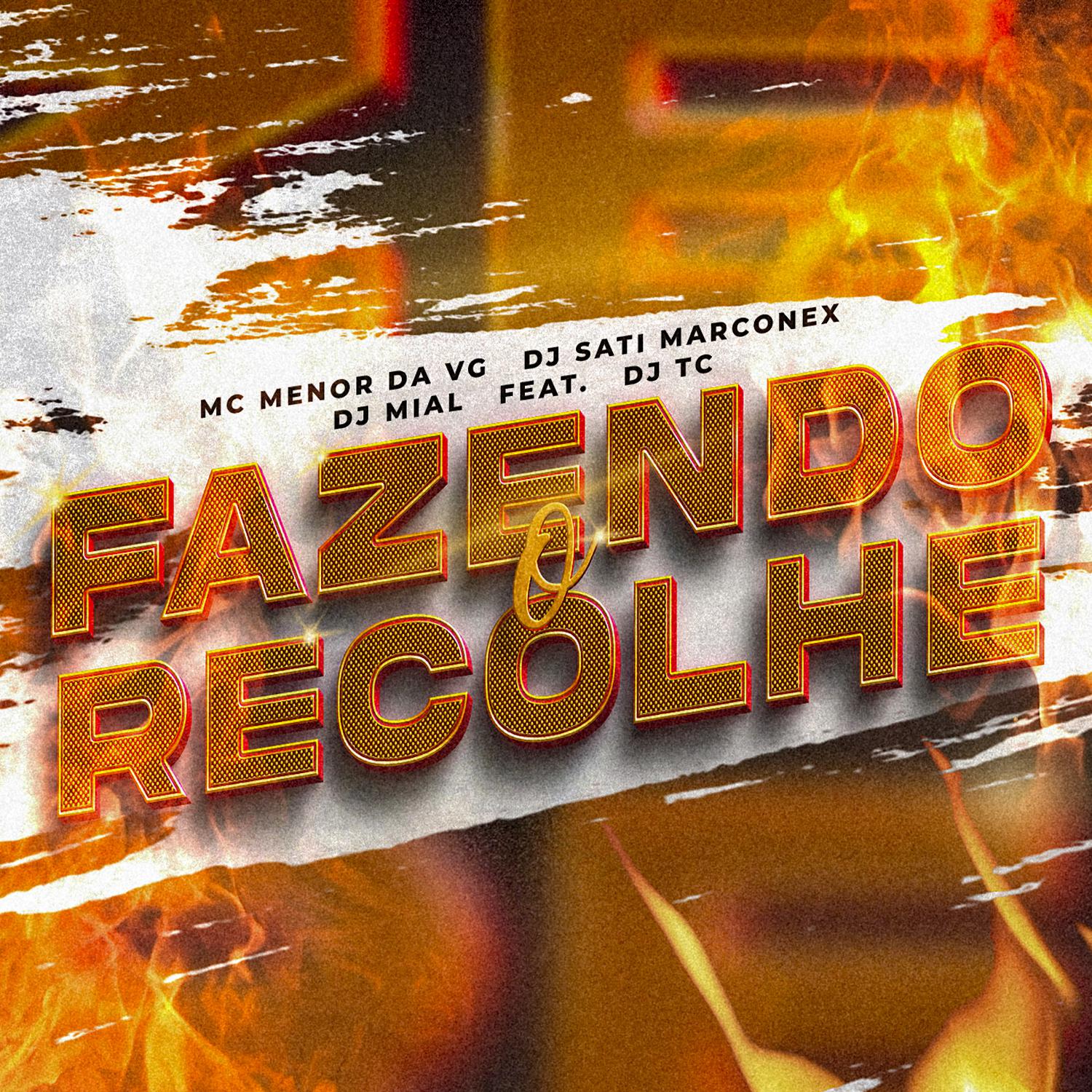 Fazendo O Recolhe Feat Dj Tc Dj Sati Marconex Mc Menor Da Vg Djmial Dj Tc