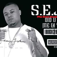 S.E.J. (The Street Director)
