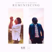 Reminiscing (feat. Liquidex)