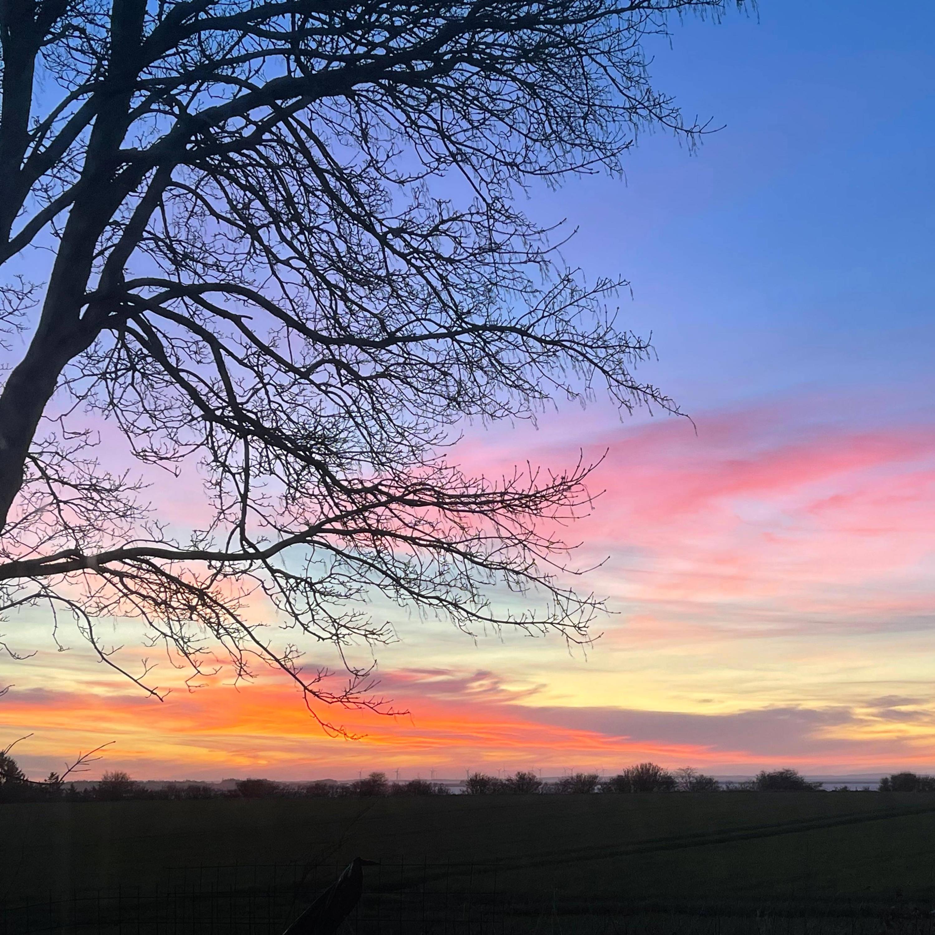Tillykke med dagen (en lille sjov hyldest til min lille prut)