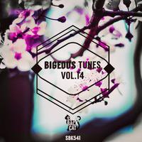 Bigeous Tunes, Vol. 14