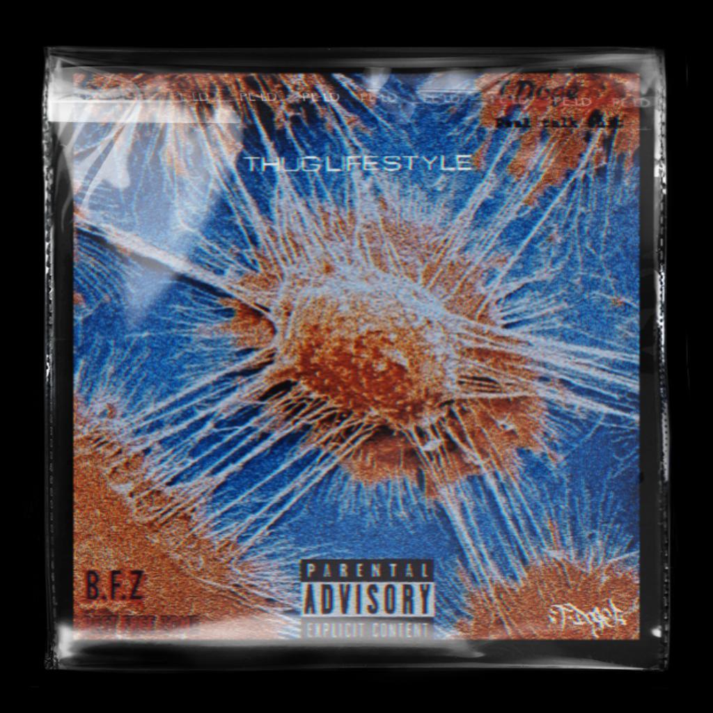 我只是做着我们这个年龄应该做的事情（Thug Life Style）