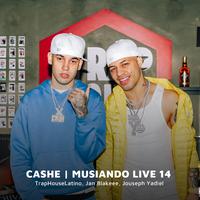 Cashe (Musiando Live 14)