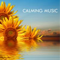 Calming Music