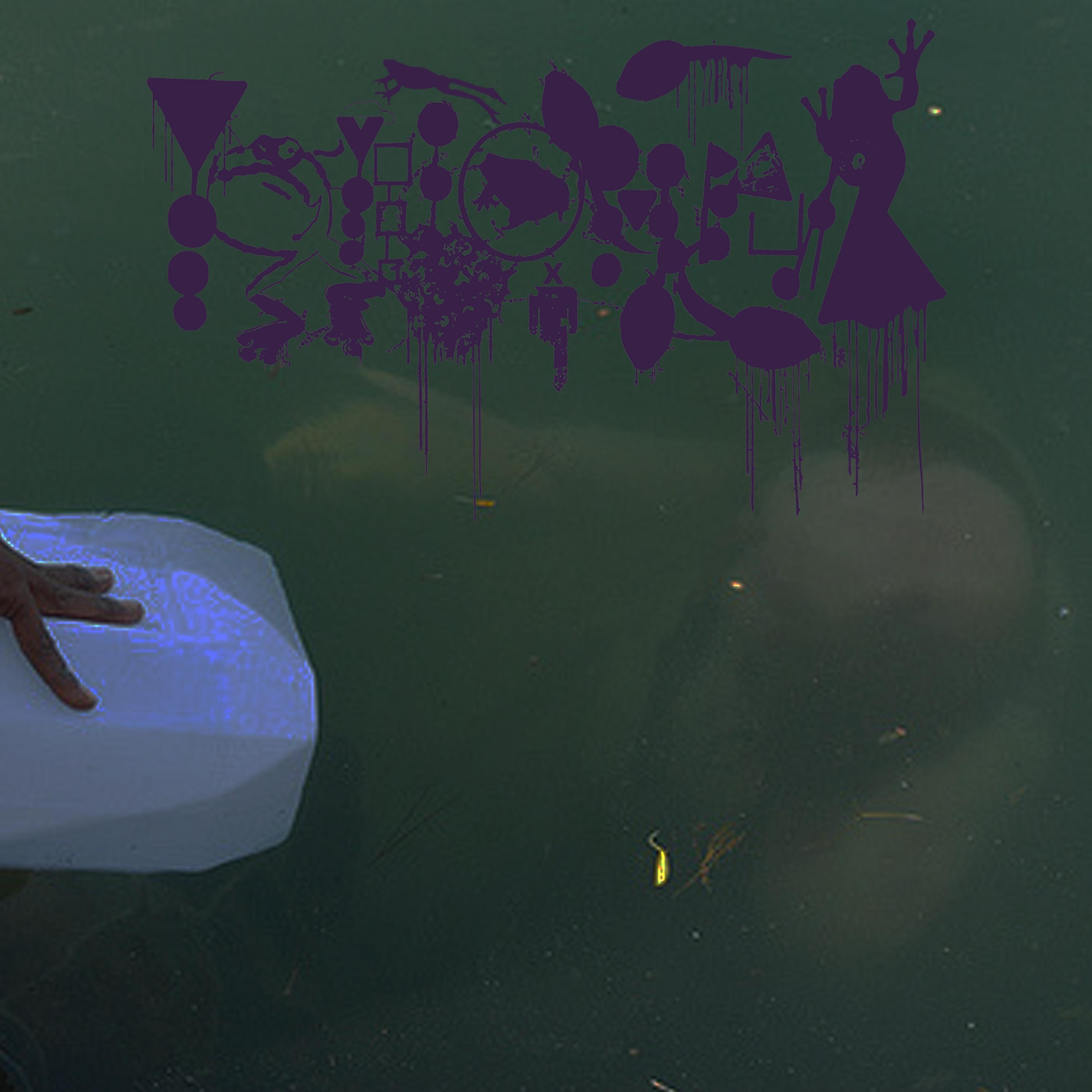 The Verge of Serration to the Throat of Community/Spirochete of the Ziglopurrhaeria