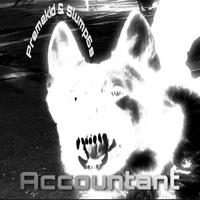 Accountant (feat. Slump6s)