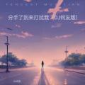 分手了别来打扰我(DJ版)(Remix) - DJ何友、DJ筱轩封面