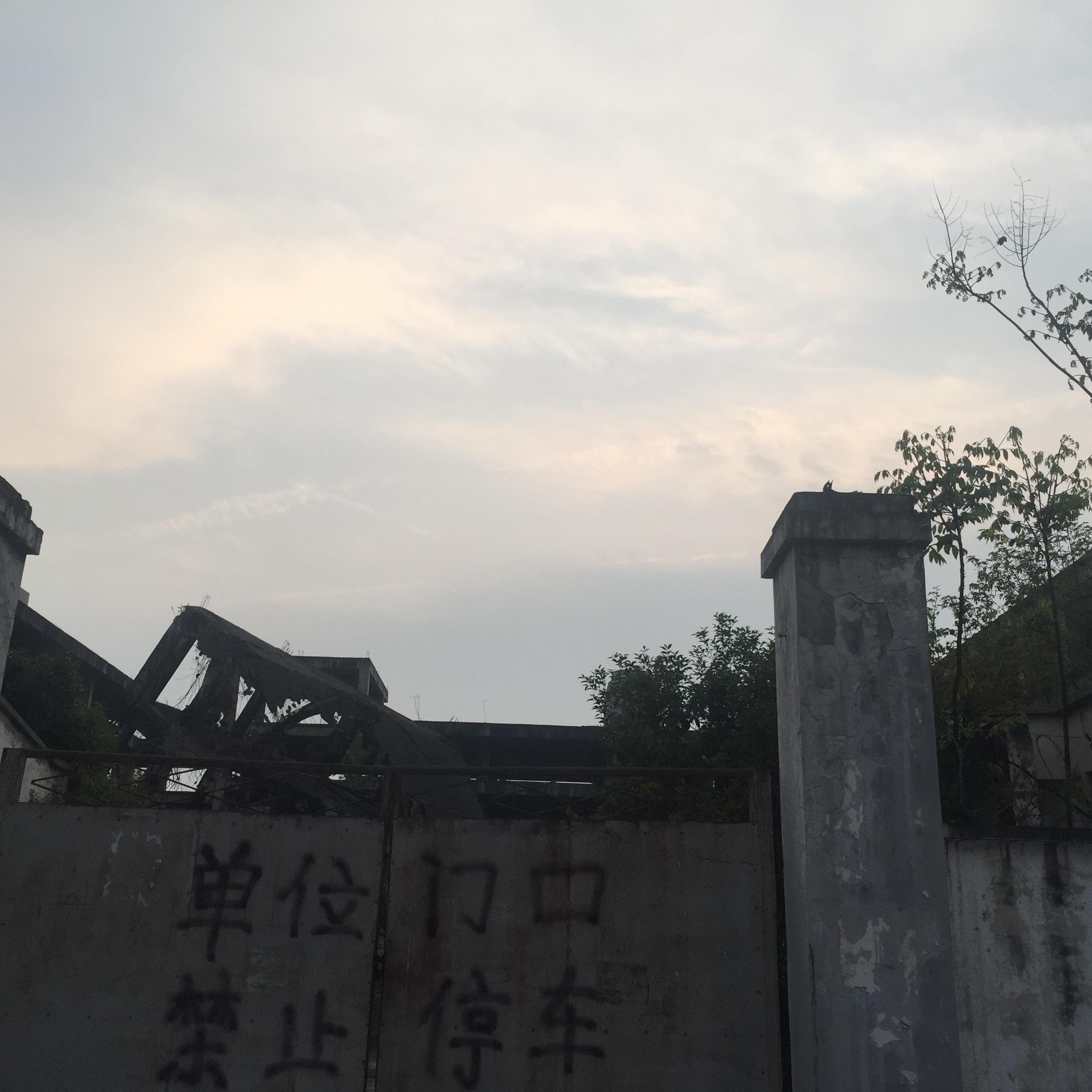 致我的迷茫兄弟封面