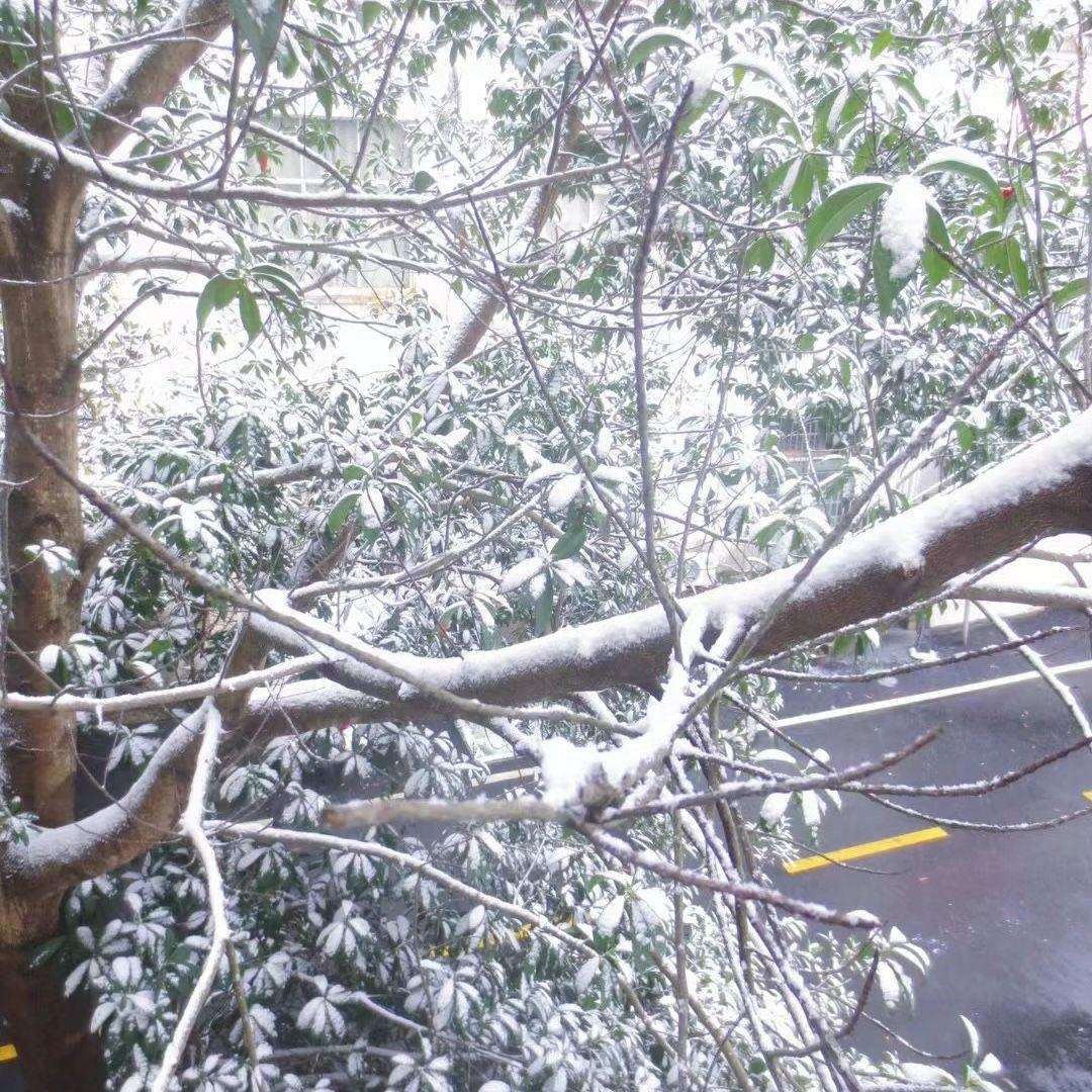 From The Start (Lofi Remix)