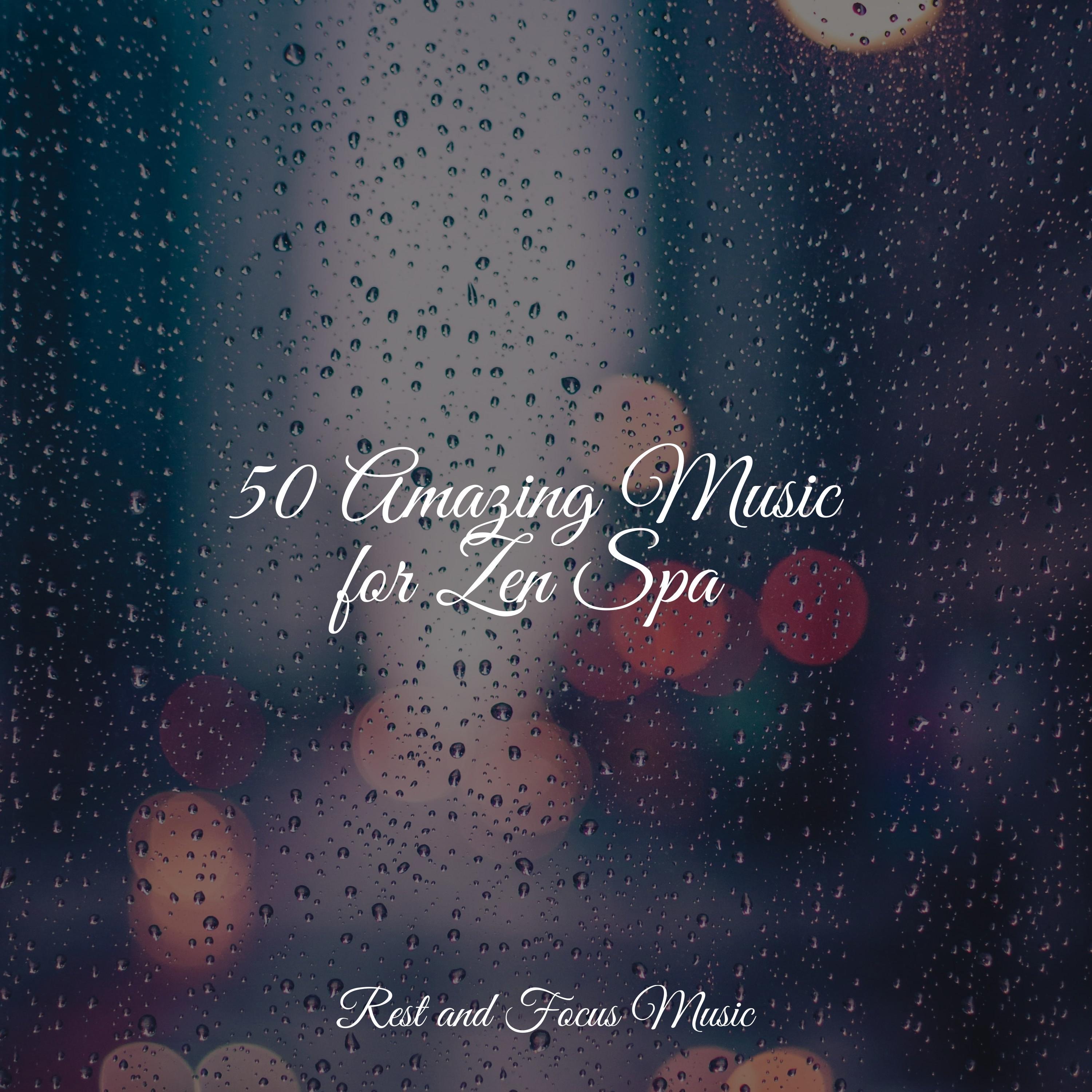 50 Amazing Music for Zen Spa Sleep Sounds of Nature 专辑 网易云音乐