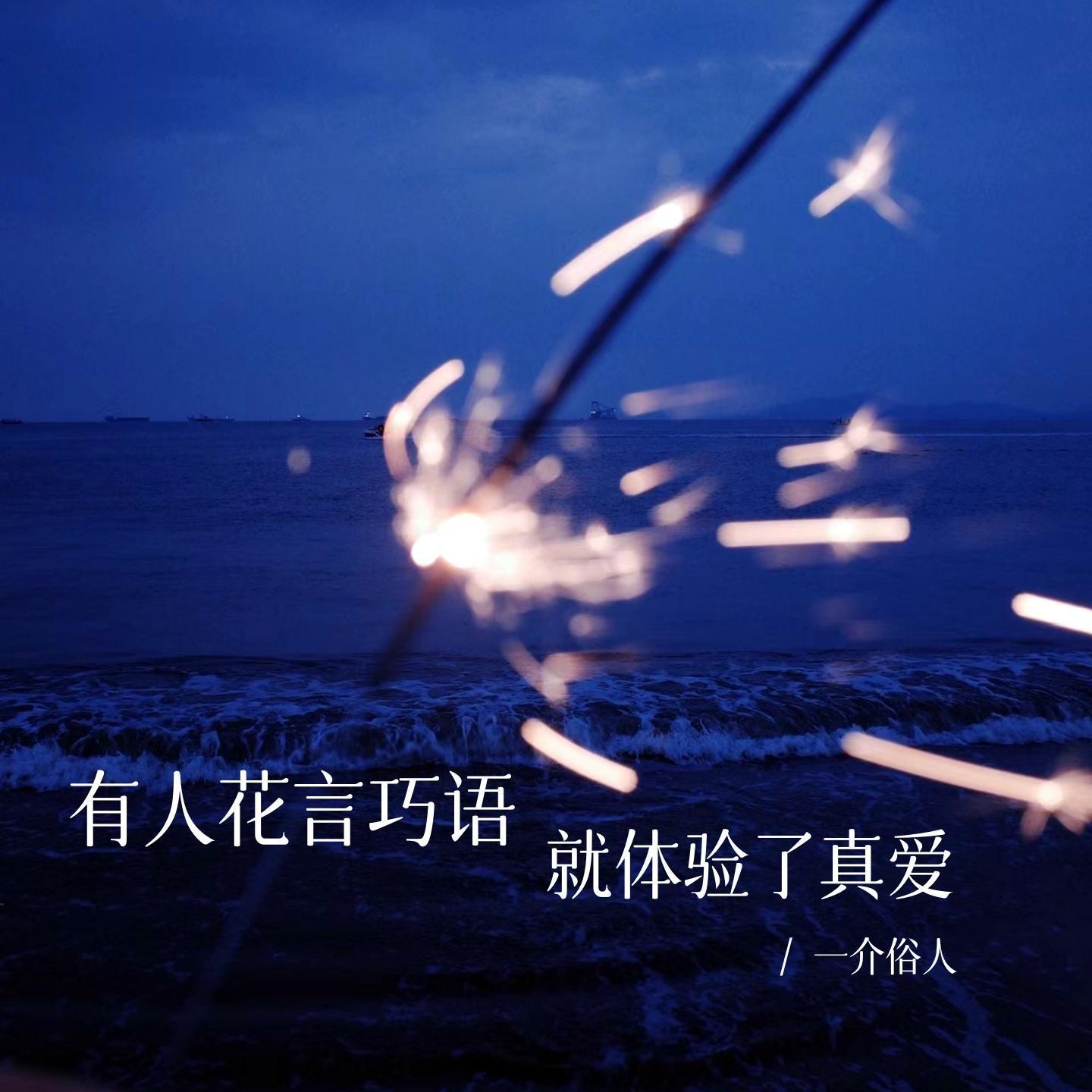 有人花言巧语就体验了真爱 (DJ版)封面