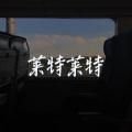 钵钵鸡 (DJ版)封面
